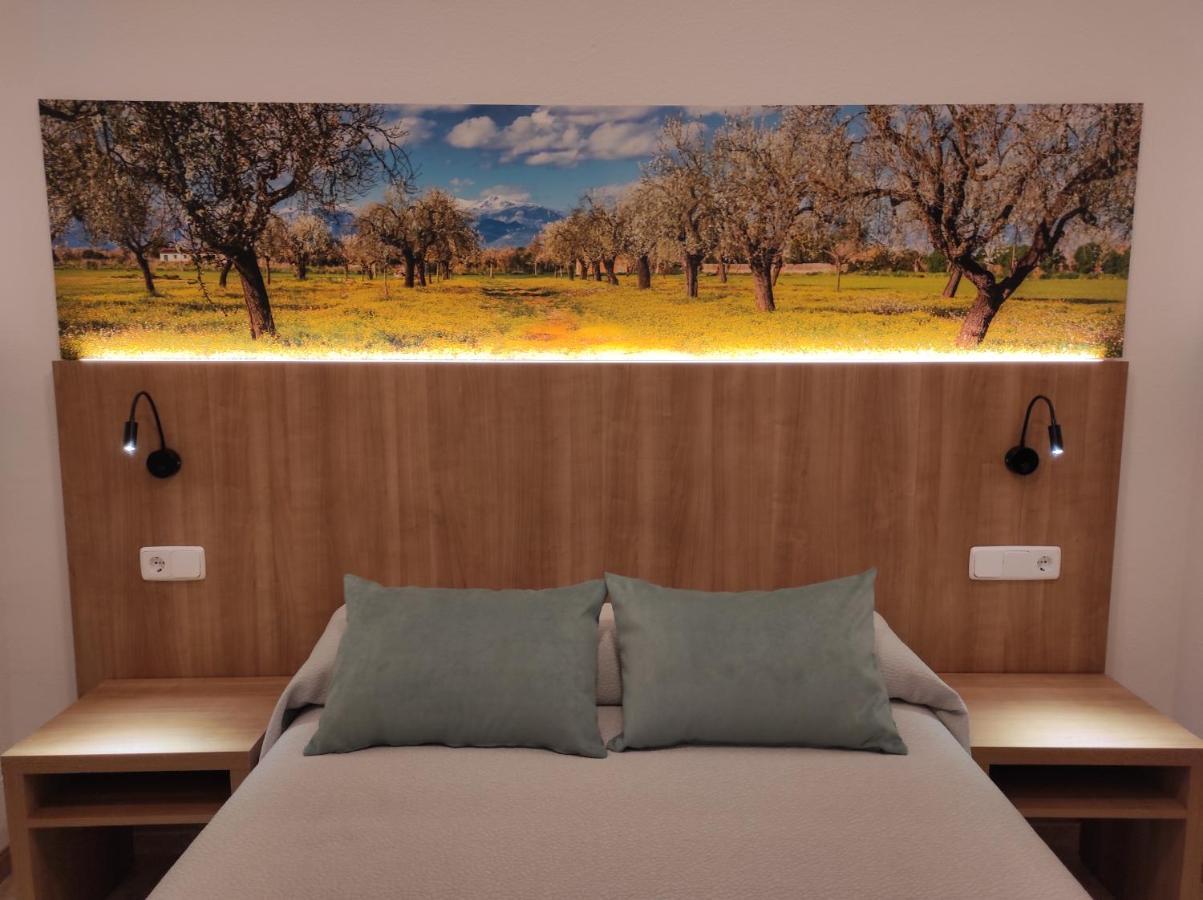 Hostal Nadal Soller Luaran gambar