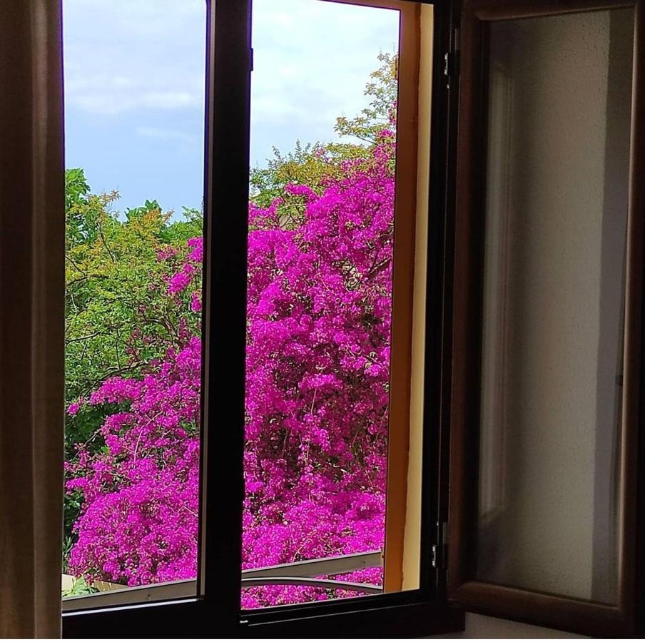 Hostal Nadal Soller Luaran gambar