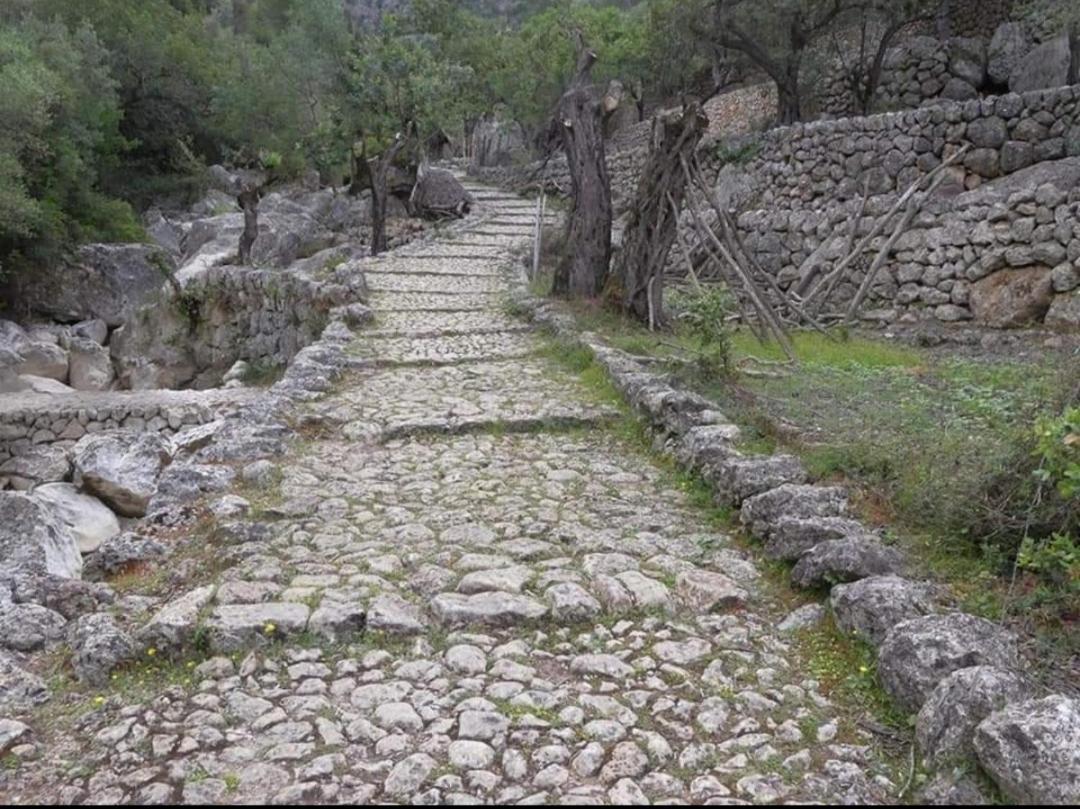 Hostal Nadal Soller Luaran gambar