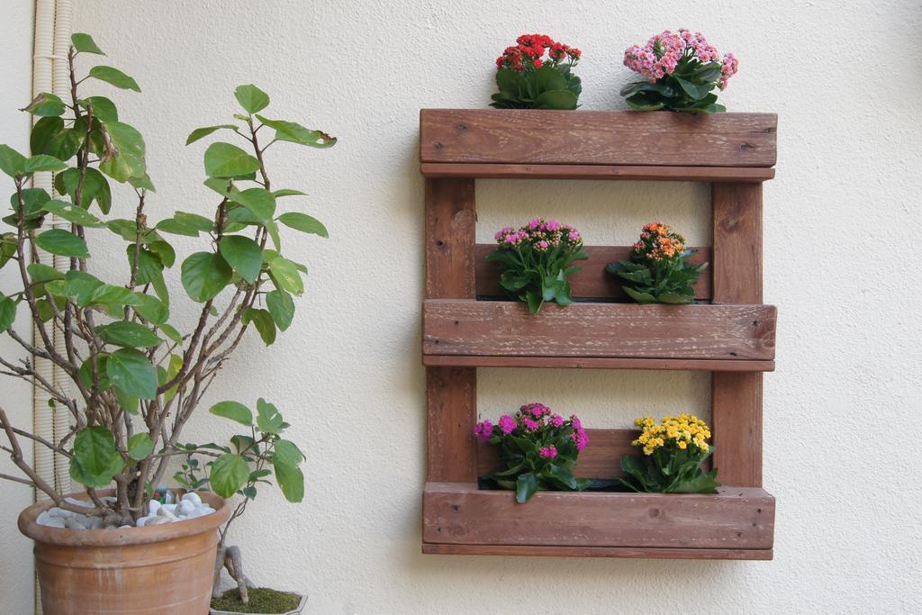 Hostal Nadal Soller Luaran gambar