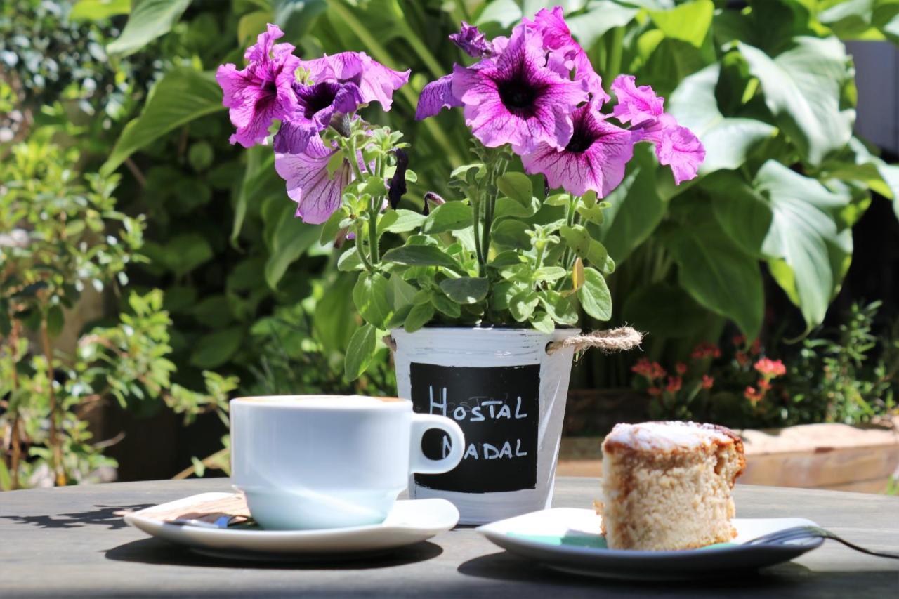 Hostal Nadal Soller Luaran gambar
